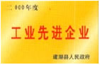 Advanced industrial enterprises