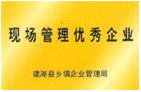 Site management for business excellence